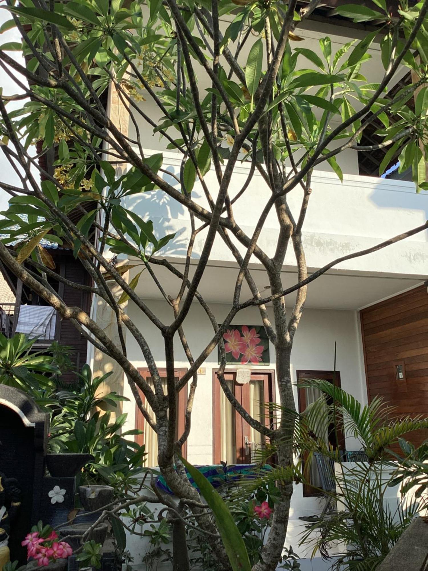 נוסה-למבונגן Linda Beach Hotel מראה חיצוני תמונה
